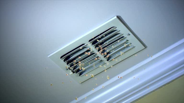 Best Dryer Vent Cleaning Services  in Windsor, CO